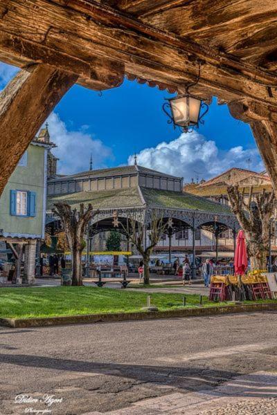 Superbe appartement plein centre, calme, Netflix Mirepoix  Exterior foto